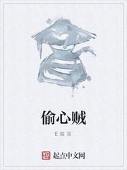 偷心贼