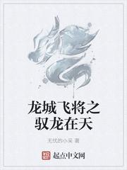 驭龙在天