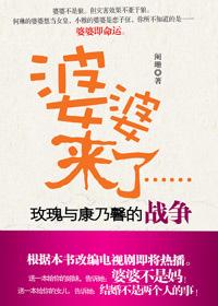 北京媳妇与农村婆婆:婆婆来了
