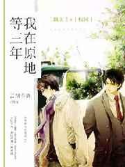 我在原地等三年 完结+番外