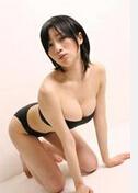 别指望我写美人犬