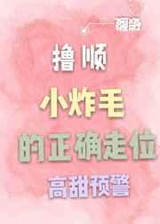 撸顺小炸毛的正确走位 完结+番外