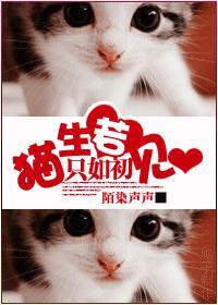 猫生若只如初见