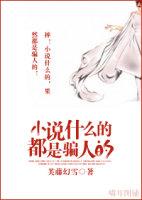 小说什么的都是骗人的