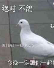 绝对不鸽gl