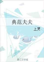 典范夫夫
